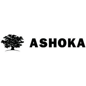 https://spain.ashoka.org/